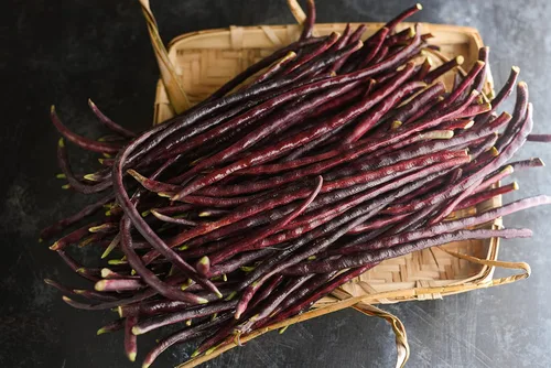 Purple Yard - Semillas de frijol largo, más de 85 semillas, semillas de frijoles largos asiáticos, semillas de frijoles de espárragos, Phaseolus