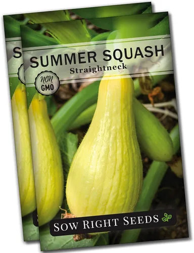 Miniatura 4 de Sow Right Seeds - Semillas de calabaza amarilla de cuello recto para plantar - Paquete de reliquia sin OMG con instrucciones para plantar un huerto
