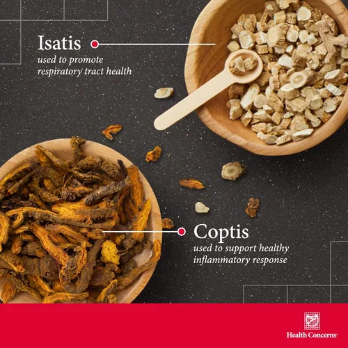 Miniatura 3 de Health Concerns Coptis Purge Fire Formula – Suplemento de apoyo para la piel, garganta, seno sinusal y el sistema inmunológico – Limpieza de hierbas