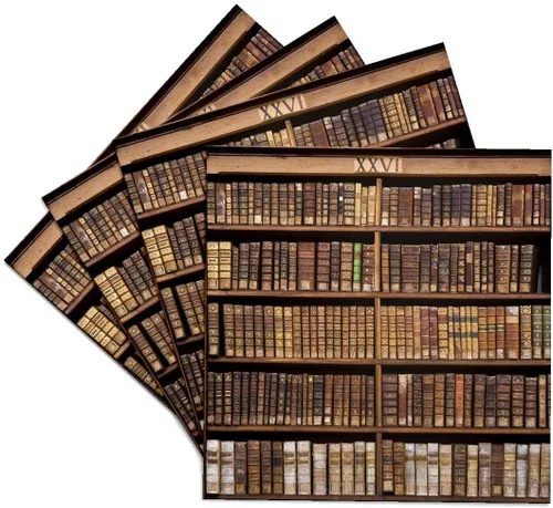 3dRose France, Corsica, Books, Ajaccio Municipal Library - EU09 SSM0025 - Scott T. Smith Set of 4 Ceramic Tile Coasters