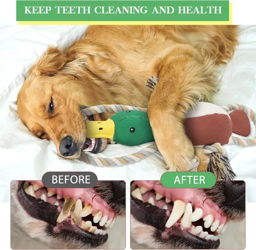Miniatura 5 de Letsmeet Juguetes de Pato Actualizados para Perros para Masticadores Agresivos Juguetes para Cachorros con Papel Crujiente y Chirriador, Juguetes