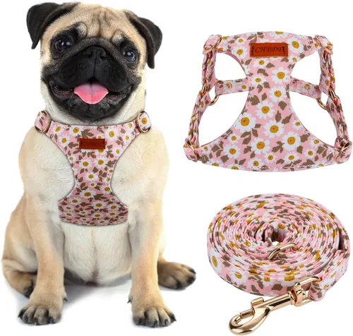 Miniatura 8 de CHEDE Arnés para Perro sin Tirones con Patrón Floral - Arnés para Perro Ligero y Suave, Arnés Ajustable para Perros Pequeños y Juego de Correa