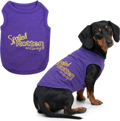 Miniatura 15 de Parisian Pet - Camiseta bordada para perros y gatos, con texto en inglés Sexy and I Know It, XS Sexy y lo sé