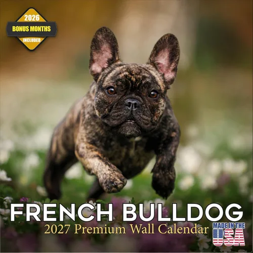 Miniatura 54 de Calendario 2025 2026 de cachorros Cocker Spaniel - Calendario mensual de pared de raza de perro - 12" x 24" abierto - Papel grueso sin sangrado