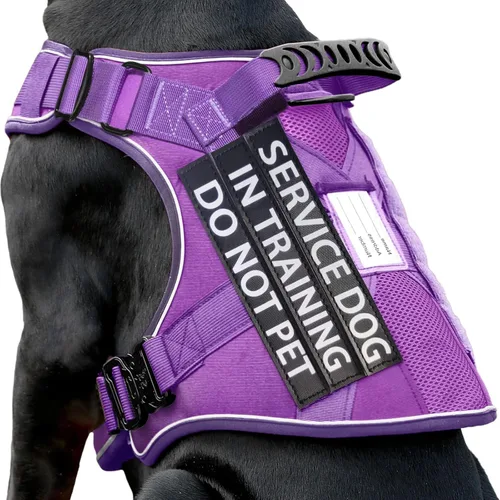 Miniatura 27 de Chaleco de perro de servicio para perros medianos, arnés de perro de servicio en entrenamiento con parches, chaleco ajustable para perros
