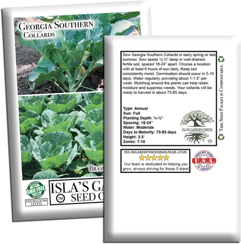 Miniatura 7 de Georgia Southern Collards Seeds para plantar, más de 500 semillas tradicionales por paquete, semillas de jardín de Isla
