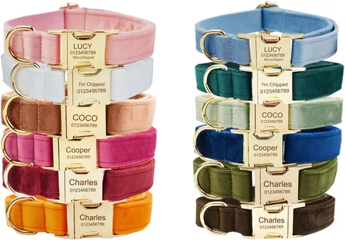 Miniatura 8 de Collar de perro personalizado con hebilla de metal grabada, nombre y número de teléfono personalizados, ajustable para razas pequeñas, medianas