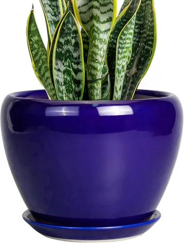 Miniatura 15 de Maceta de Cerámica Moderna con Esmalte para Suculentas con Agujero de Drenaje y Platillo, Maceta Redonda de 6 Pulgadas para Plantas de Flores