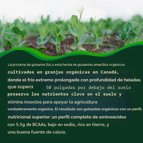 Miniatura 4 de FOLONA Proteína de guisante orgánico aislado, baja en sodio, guisantes cultivados en Canadá, 100% vegano, sin OGM, proteína en polvo a base