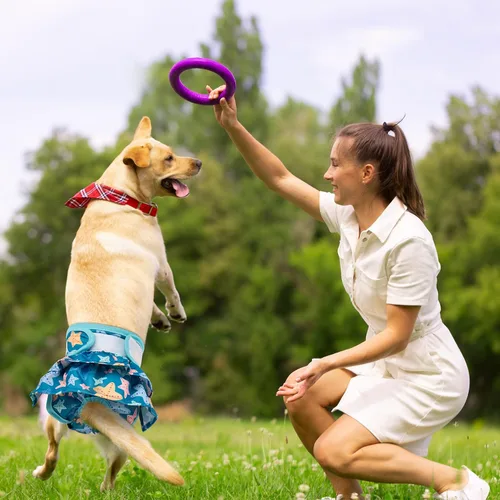 Miniatura 7 de Pet Soft Pañales para Perras Hembras – Paquete de 3 Pañales Lavables Estilo Vestido para Perras Hembras en Celo – Bragas Reutilizables