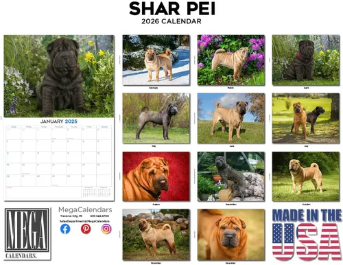 Miniatura 13 de Razas de Perros 2017 ESKIMO AMERICANO