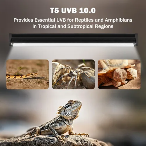 Miniatura 5 de Lámpara T5 10.0 UVB para reptiles, 39 W, 34 pulgadas, T5 UVA/UVB Bombilla fluorescente para dragón barbudo, tortuga, leopardo Gecko, lagartos