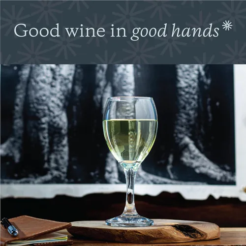 Miniatura 5 de Vikko Copas de vino de 8.5 onzas, juego de 12 copas de vino pequeñas, para vino tinto y blanco con tallo, vidrio transparente para vino, vidrio