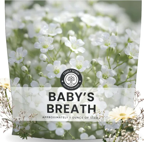 Baby's Breath - 22,000 semillas para plantar - Temporada 2026 - Bolsa de 1 onza