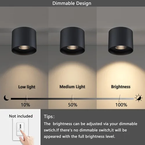 Miniatura 6 de Lámpara de techo de montaje empotrado, 20 W LED regulable 5.9 pulgadas, lámpara de techo cilíndrica de aluminio rústico negro para vestíbulo, Blanco