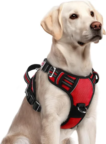 Miniatura 23 de rabbitgoo Arnés para perro de tamaño pequeño, chaleco para perro sin tirones con 3 hebillas, arnés ajustable y acolchado suave para mascotas con asa