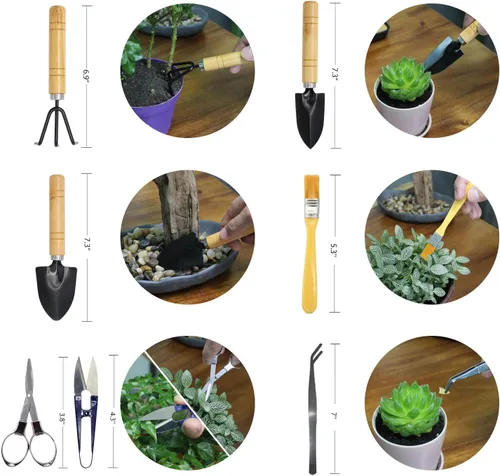Miniatura 5 de Mini juego de herramientas de jardinería, kit de suculentas, juego de herramientas para suculentas, Bonsai, jardinería, incluye podadora, tijeras