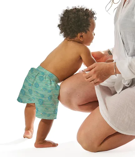 Miniatura 3 de green sprouts Baby-Boys Without Built-in Diaper