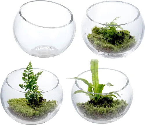 Miniatura 2 de MyGift Terrario de Vidrio Transparente Premium de 5 Pulgadas para Plantas Aéreas, Portavelas de Té, Jarrón para Plantas Suculentas y Cactus, Juego