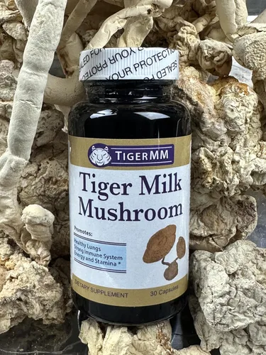 Miniatura 5 de Tiger Milk Mushroom (Lignosus rhino.) EE. UU., Apoyo inmunitario respiratorio pulmonar 450mg cápsula