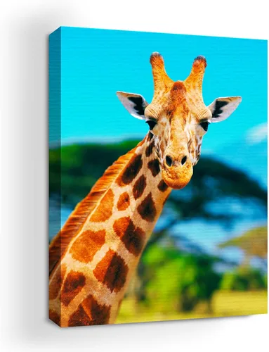 Miniatura 30 de Mavis Print - Lienzo decorativo para pared con diseño de conejo/conejo, 36 x 36 pulgadas, decoración de pared de animales impresos en HD y marco