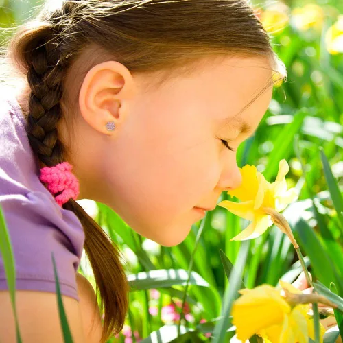Miniatura 3 de Aretes de seguridad chapados en rodio con circonita cúbica, para niños pequeños y niñas jóvenes, de 0.197in, delicados y brillantes aretes florales