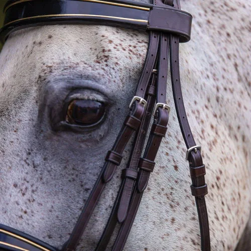 Miniatura 7 de Joseph Sterling Kiesner Comfort Show Bridle para caballos Diseñada por Professional Trainer Corona Comfort Plus para facilidad Bandas