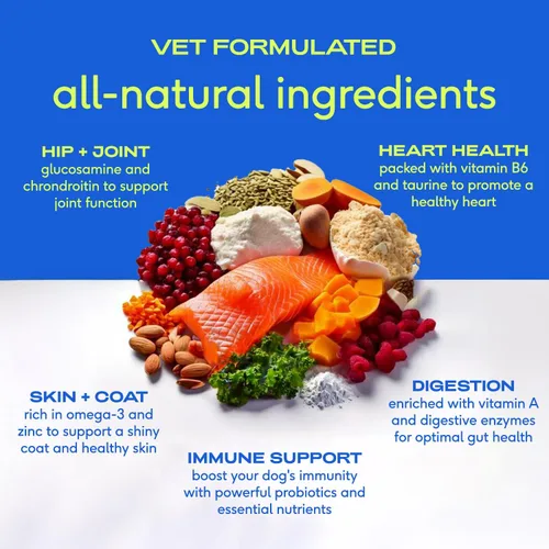 Miniatura 5 de Native Pet Caldo de hueso de res en polvo para perros (48 porciones) y el multivitamínico diario para perros (30 cucharadas) – Multivitamínico