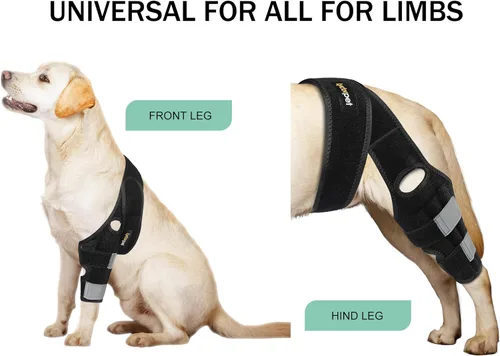 Miniatura 7 de Rodillera para perro para pierna trasera de ACL desgarrada, soporte de ACL para pierna trasera de perros, con estabilizadores laterales, fuerte