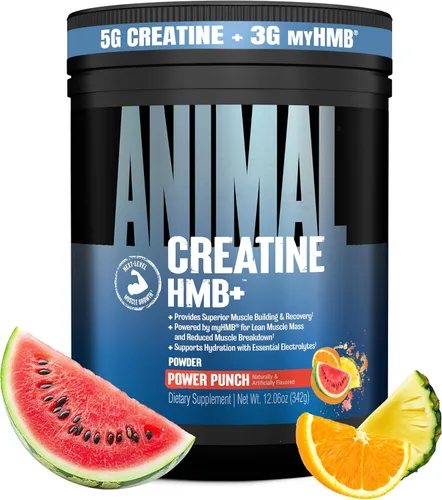 Miniatura 9 de Animal Creatina HMB en polvo – 0.11 oz myHMB + 0.18 oz de creatina con electrolitos para recuperación y energía diaria – Power Punch (3) y Dragon