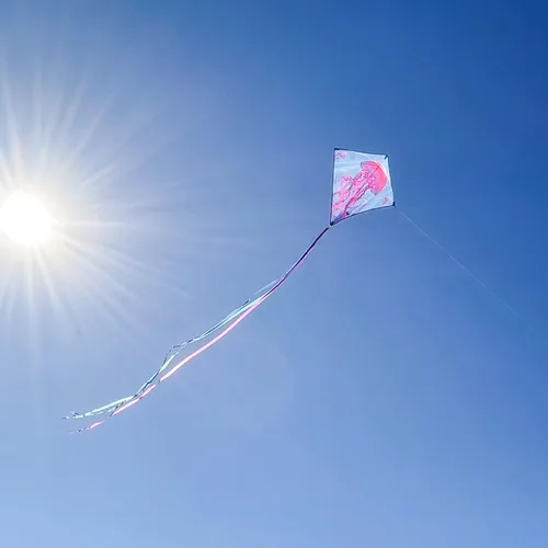 Miniatura 3 de In the Breeze Cometas gráficas de diamantes: cometas coloridas, totalmente impresas y fáciles de volar Medusa de 30 pulgadas
