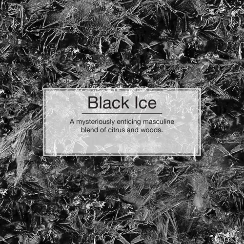 Miniatura 4 de Little Trees - Ambientador de árbol pequeño, Black Ice, paquete de 24