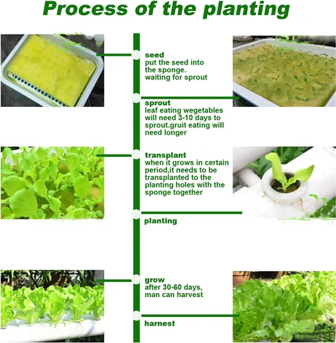 Miniatura 6 de Kit de cultivo hidropónico de 6 plantas para plantar verduras, hierbas, bayas, cesta de plantas de 3.7 pulgadas (D)*3 (H) pulgadas sin bomba de agua