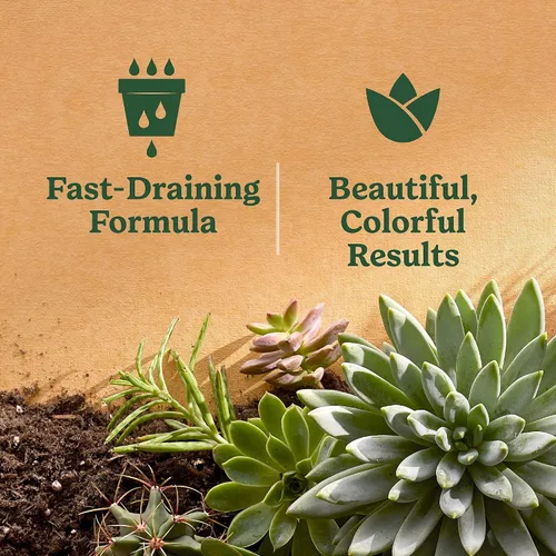 Miniatura 7 de Miracle-Gro Mezcla para macetas de interior para cactus y suculentas, mezcla para macetas de cactus y suculentas de drenaje rápido con alimentos