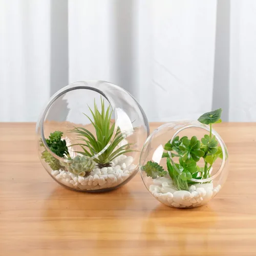 Miniatura 7 de WGV Jarrón de vidrio con corte inclinado, ancho 14 cm, altura 14 cm, transparente, redondo, maceta para plantas, terrario, orbe, recipiente