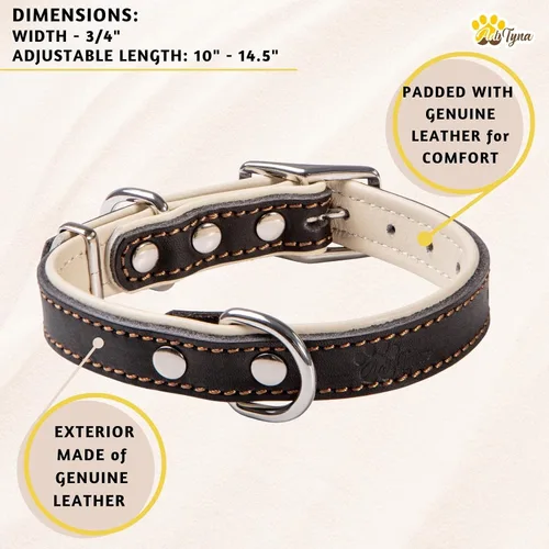 Miniatura 5 de ADITYNA Collar de perro de cuero negro resistente para perros pequeños, acolchado suave para mayor comodidad, collar de perro pequeño para caminar