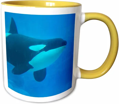 Miniatura 7 de 3dRose Orca Killer Whale - Taza de cerámica azul subacuática, 11 onzas