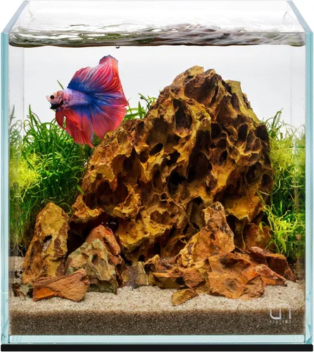 Miniatura 23 de UNS Acuario Ultra Claro Sin Borde - 25.6GAL 97.2L - 23.62x14.17x17.71 60x36x45 CM, Grosor de Vidrio de 6mm, Incluye Alfombrilla Nivelante