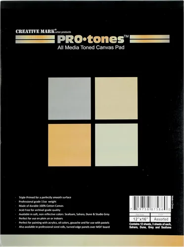 Miniatura 6 de Paramount Pro-Tones All-Media - Almohadillas de lona tonificadas con triple imprimación para acrílico, aceite, gouache y más. Colores surtidos - 9 x