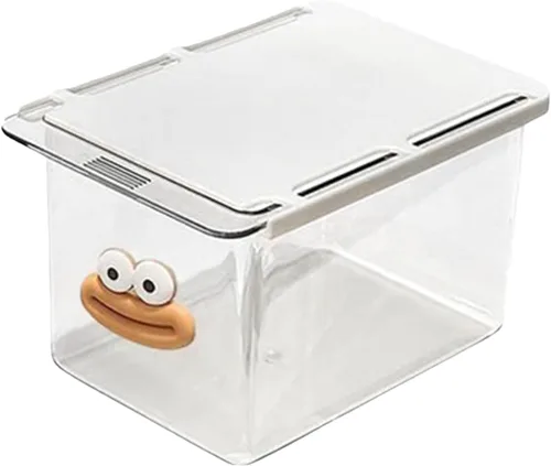 Organizador de cajones para debajo del escritorio, caja de almacenamiento extraíble transparente a prueba de polvo con diseño de dibujos animados,