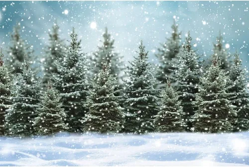 Renaiss Fondo de fotografía de paisaje forestal de invierno de 7 x 5 pies, paisaje natural, copos de nieve, pinos, fondo para niños y adultos, 23D94