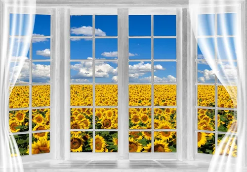 Telón de fondo de campo de girasol, ventana, paisaje, granja, primavera, flores amarillas, cielo azul, fondo de poliéster de 5 x 3 pies para fotos,