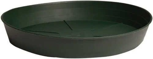 Miniatura 3 de Hydrofarm HGS6P - Cesta verde de primera calidad