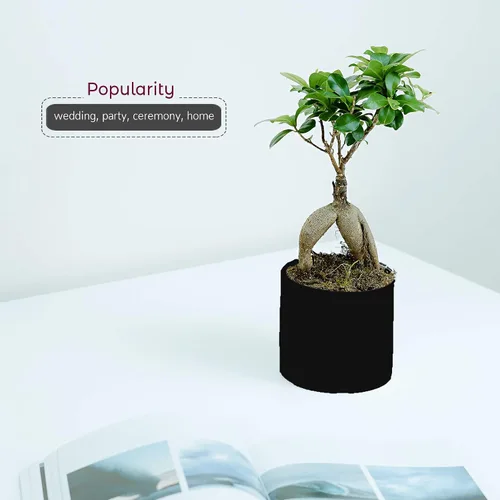 Miniatura 4 de WGVI Jarrón cilíndrico de cerámica negro mate de 3.75 pulgadas de ancho y 4 pulgadas de alto, arreglos florales, portavelas, maceta de terrario