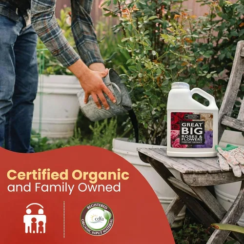 Miniatura 2 de Great Big Roses - Potenciador de fertilizante de suelo y rosas para cultivar las mejores rosas y flores; extracto de compost de alimento para rosas