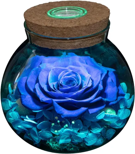 Rosas reales conservadas con colorida botella de deseo de luz de humor, rosa eterna, nunca se hundieron flores, para decoración de mesa de