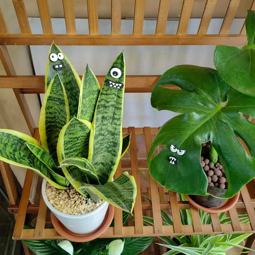 Miniatura 2 de HOMDSG Imanes de Plantas Monstruo con Ojos para Plantas en Maceta, Imanes Graciosos y Seguros para Plantas, Accesorios para Plantas de Casa, Regalos