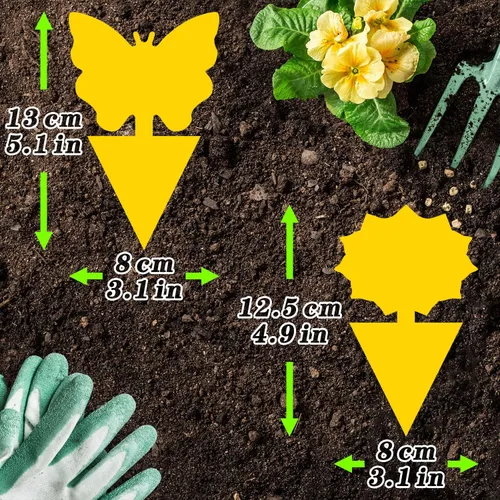 Miniatura 4 de Landisun - Trampas adhesivas para moscas de la fruta y moscas de los hongos, 24 unidades, para plantas de cocina de interior y exterior, para moscas
