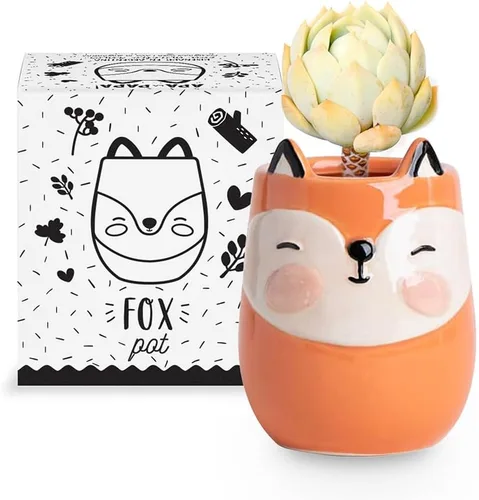 Miniatura 6 de maceta de cerámica con forma de gatito para interiores y exteriores, 3 x 3 x 4 pulgadas, diseño lindo pintado a mano en Argentina, con conveniente