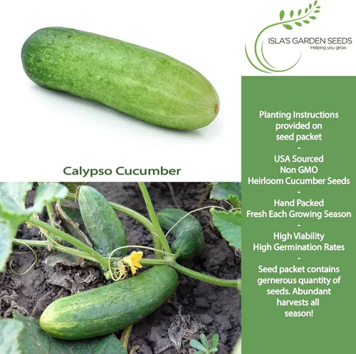 Miniatura 2 de Semillas de pepino Calypso para plantar, más de 25 semillas de reliquia por paquete, semillas de jardín de Isla (semillas de jardín de Isla)